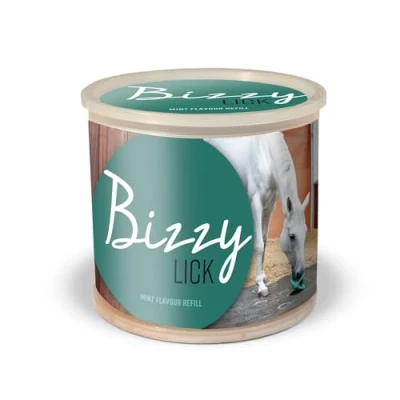 Bild av Bizzy Ball Slickstenar till Häst Mint