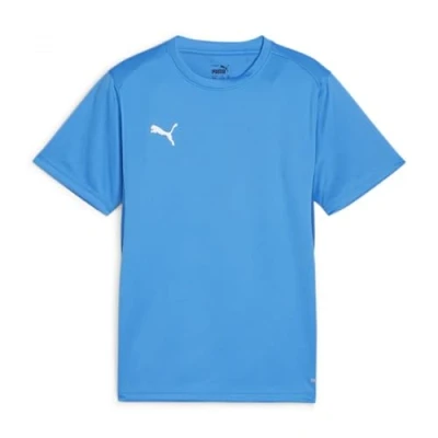 Bild av PUMA Unisex Teamgoal Jersey Jr Tee