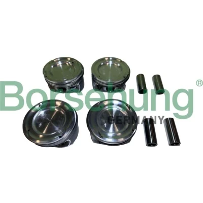 Bild av Kolv Borsehung B11141