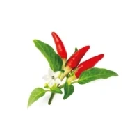 Bild av Click &amp; Grow and Smart Garden Refill 3 pack Red Hot Chili Pepper