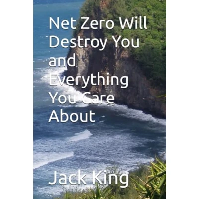 Bild av Net Zero Will Destroy You and Everything Care About