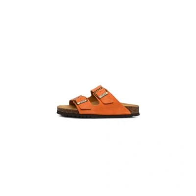 Bild av Scholl Dam Josephine F300501044 Sandaler, Orange, 38 EU