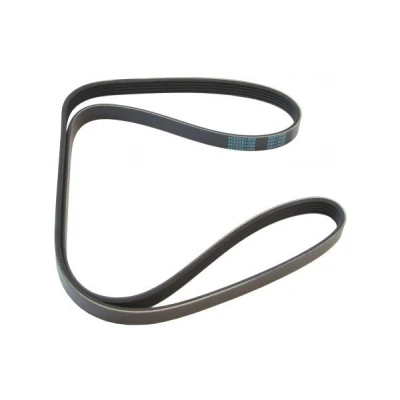 Bild av MAPCO 251465 Courroie Poly V 1465 5 RENAULT: 19 II 3/5 portes