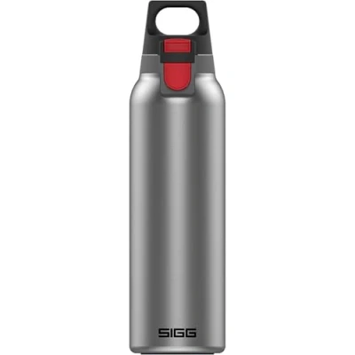 Bild av SIGG Isolerad vattenflaska termosflaska Hot &amp; Cold One Light med fruktfilter läckagesäker BPA fri 18/8 rostfritt stål borstad 0,55 l