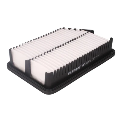 Bild av Luftfilter Filtron AP 122/9