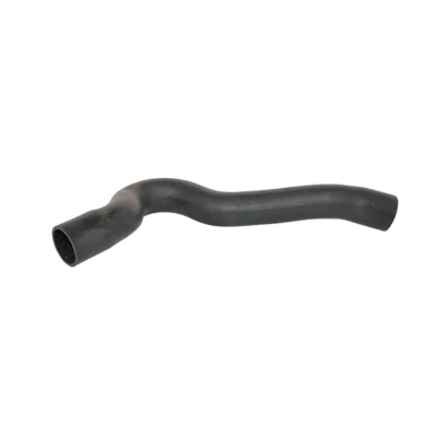 Bild av BUGIAD 88571 Gaine De Suralimentation CITROËN: C5 I 5 portes