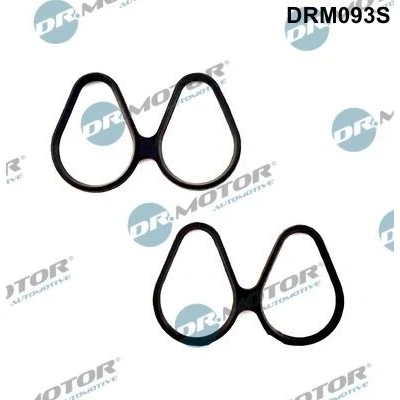 Bild av DR.MOTOR AUTOMOTIVE DRM093S Jeu de joints d&#039;étanchéité, collecteur d&#039;admission RENAULT: Kangoo I, TWINGO 2, CLIO 2