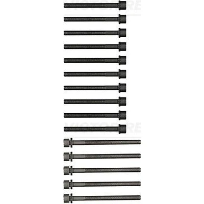 Bild av REINZ 14 32200 01 Jeu De Vis Culasse Polygone intérieur VOLKSWAGEN: Passat B5 GP Berline, Break