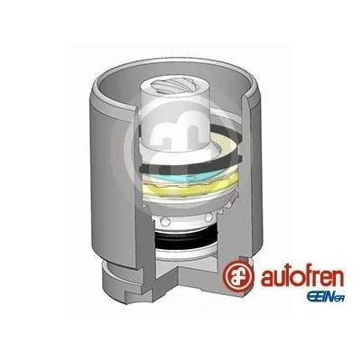 Bild av AUTOFREN SEINSA D025545K Piston, étrier de frein 34 Essieu arrière KASCO