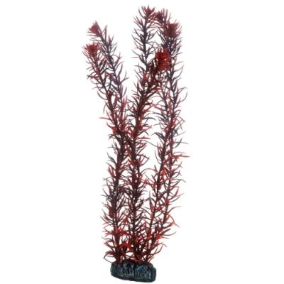 Bild av Hobby 51583 Eusteralis, 39 cm
