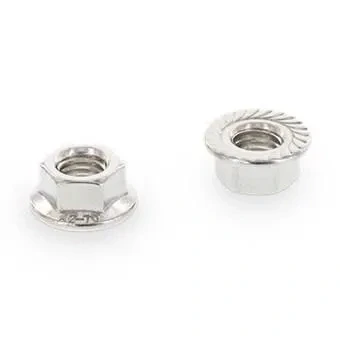Bild av Schäfer &amp; Peters 69232010 Flänsmutter M6MF A2, DIN 6923 M10, 15 x 10 21,8 mm, 100 pack