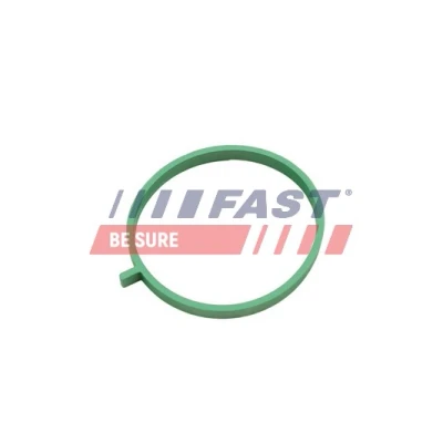 Bild av FAST FT49472 Joint Collecteur d&#039;Admission centre FIAT: Doblo II Van / Break, OPEL: Combo C Tour