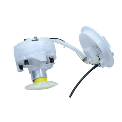 Bild av MAXGEAR 43 0189 Unité d&#039;injection de carburant avec préfiltre électrique Essence AUDI: A4 B7 Berline, B6 Avant