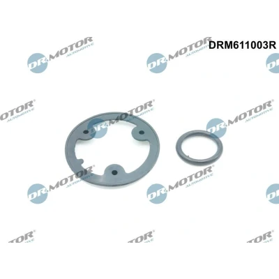 Bild av DR.MOTOR AUTOMOTIVE DRM611003R Kit de joints, radiateur d&#039;huile FIAT: Ducato III Van, II Bus, Camion à Plateau / Châssis