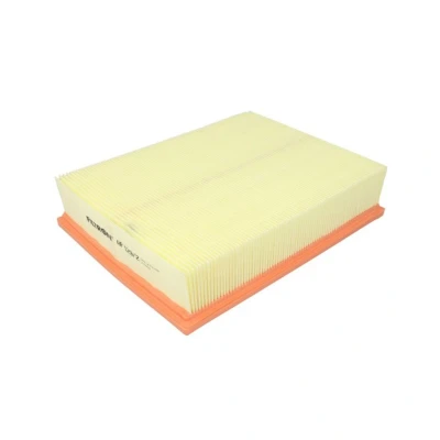 Bild av Luftfilter FILTRON AP 129/2