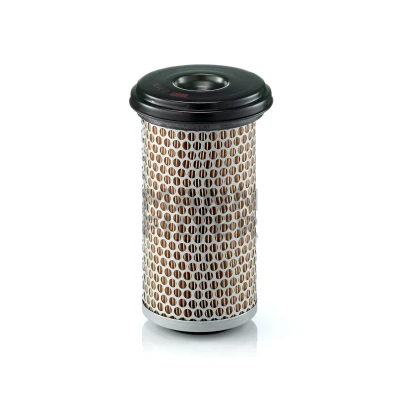 Bild av Luftfilter Mann filter C 1176
