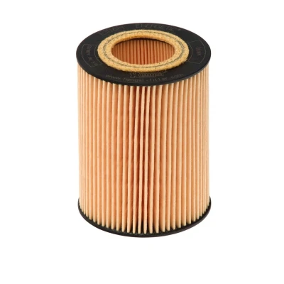 Bild av Oljefilter HENGST FILTER E106H D171