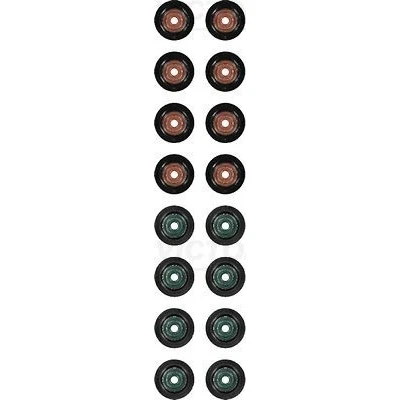 Bild av REINZ 12 35546 01 Jeu de joints d&#039;étanchéité, tige soupape FORD: FIESTA 5, FOCUS 2, 3, MAZDA: 6 Berline, MX 5 CX 7, VOLVO: C30, S40 II
