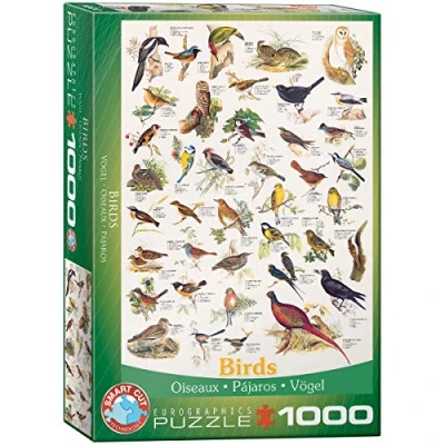 Bild av Eurographics VÖGEL (ENGLISCHER TEXT) Pussel multicoloured för barn, Storlek: One Size, Multi coloured