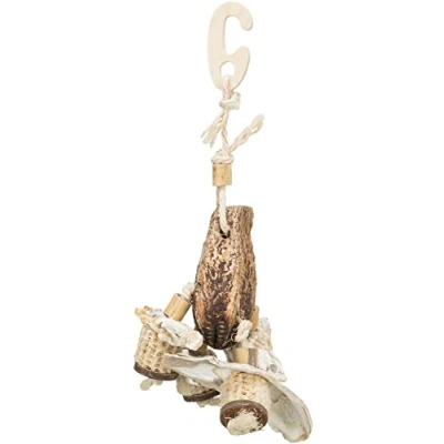Bild av Trixie Toy mahogany pod/sea shells 26 cm