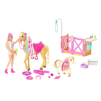 Bild av Barbie HGB58 Groom &#039;n Care lekset med Docka, 2 Hästar och mer än 20 Tillbehör, För Barn som är 3 till 7 år