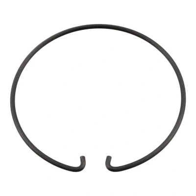 Bild av FEBI BILSTEIN 184879 Circlip