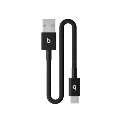 Bild av Apple Beats USB C cable to 24 pin 20 cm
