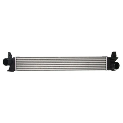 Bild av Laddluftkylare THERMOTEC DAF007TT