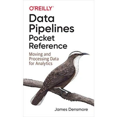Bild av Data Pipelines Pocket Reference: Moving and Processing for Analytics