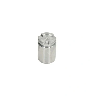 Bild av Kolv, bromsok AUTOFREN SEINSA D025602