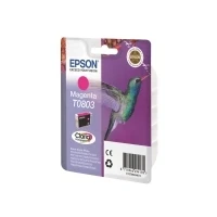 Bild av Epson Original T0803 bläck kolibri (Stylus Photo R265 R360 R285 RX585 RX685 PX700W P50 PX650 PX810FW PX710W PX820FWD PX660 PX830FWD PX 730WD RX560) magenta