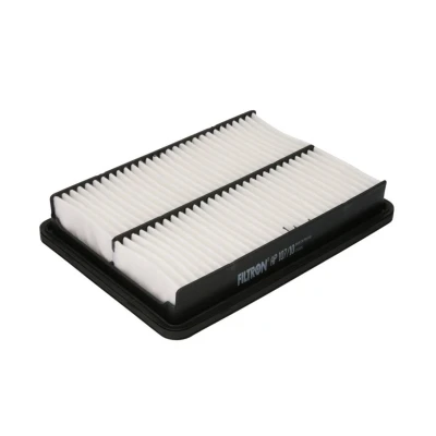 Bild av Luftfilter FILTRON AP 107/10