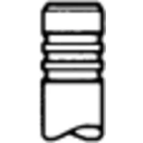 Bild av Inloppsventil TRW ENGINE COMPONENT 331151