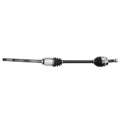 Bild av Drivaxel PASCAL G2X018PC