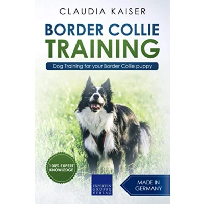 Bild av Border Collie Training: Dog Training for your puppy