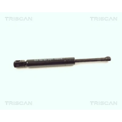 Bild av TRISCAN 8710 23107 Vérin De Capot 850 MERCEDES BENZ: Classe ML