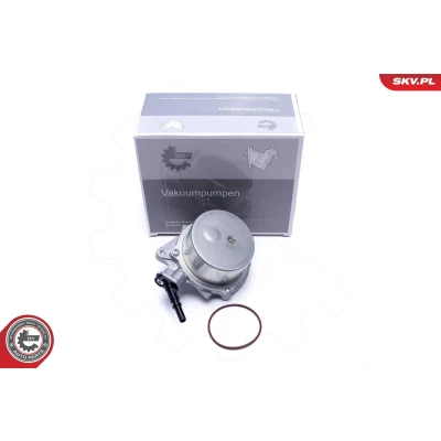 Bild av ESEN SKV 18SKV051 Pompe à Vide PEUGEOT: 5008 I, 207 3/5 portes, 308 I CITROËN: Berlingo II Van, C3 II, C4 Picasso 1, MINI: portes