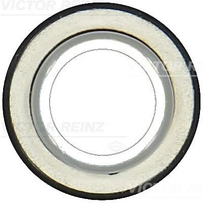 Bild av Packbox, vevaxel VICTOR REINZ 81 10559 00