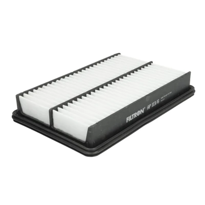 Bild av Luftfilter FILTRON AP 113/6