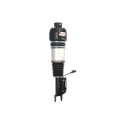 Bild av Luftfjäderben MAGNUM TECHNOLOGY APM003MT