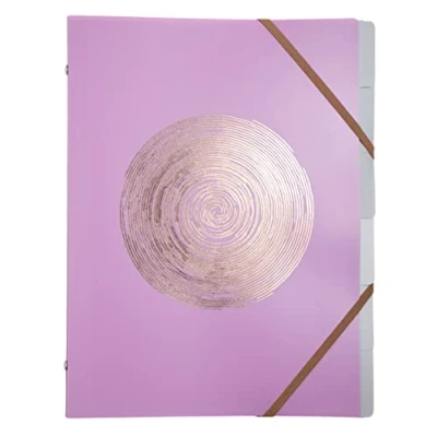 Bild av Exacompta Ref. 56890E 1 Ellipse sorterare med resårband omslag av återvunnen polypropylen stämpel i roséguld 6 fack för A4 storlek 25 x 32 cm slumpmässiga färger