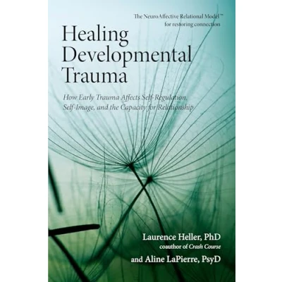 Bild av Healing Developmental Trauma: How Early Trauma Affects Self Regulation, Image, and the Capacity for Relationship