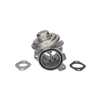 Bild av KAMOKA 19019 EGR Ventil VOLKSWAGEN: Polo IV Hatchback, SKODA: Fabia 1 Combi, I 2, AUDI: A2