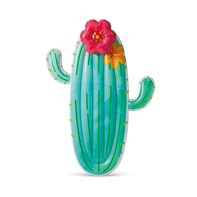 Bild av Intex Cactus Float