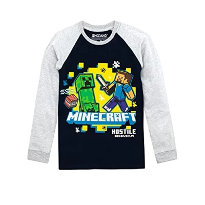 Bild av Minecraft Pojkar Long Sleeve Shirt Flerfärgad 164