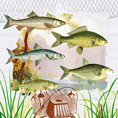 Bild av 20 servetter fisk i porträtt/djur/sjö/fiske 33 x cm