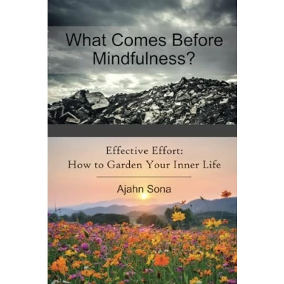 Bild av What Comes Before Mindfulness?: Effective Effort: How to Garden Your Inner Life