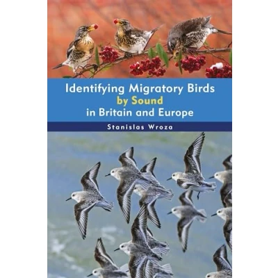 Bild av Identifying Migratory Birds by Sound in Britain and Europe