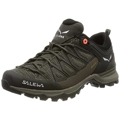 Bild av Salewa MTN Trainer LITE GTX Hikingskor, Storlek: 40, Wallnut/fluo coral Konstmaterial/textil