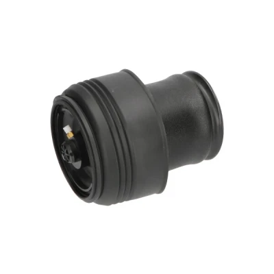 Bild av Luftfjäder, hjulupphängning Kavo parts SAS 10002